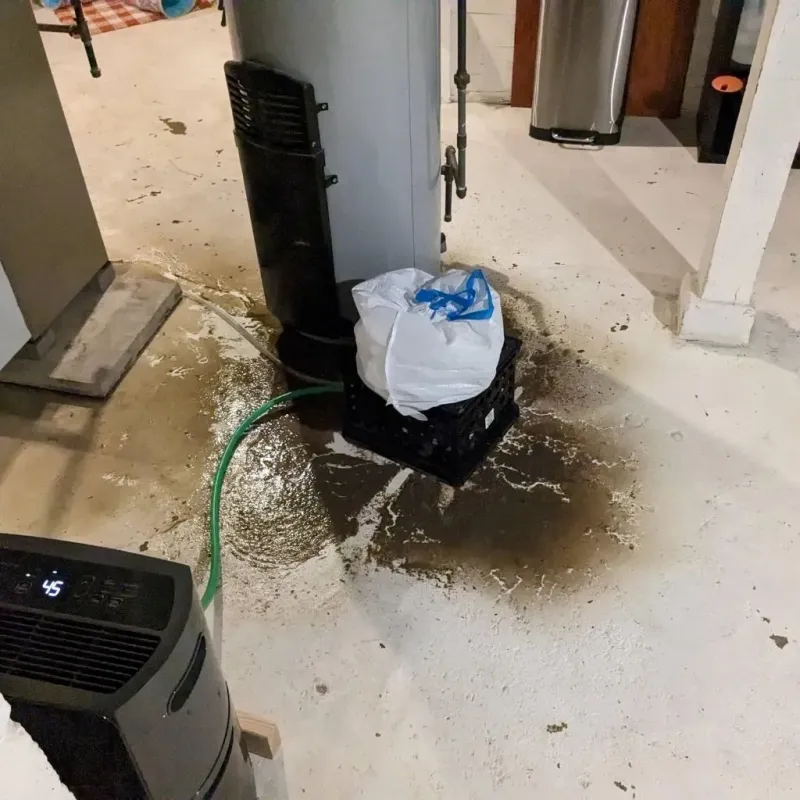 Sewage Backup Cleanup Service in Cameron Park, TX